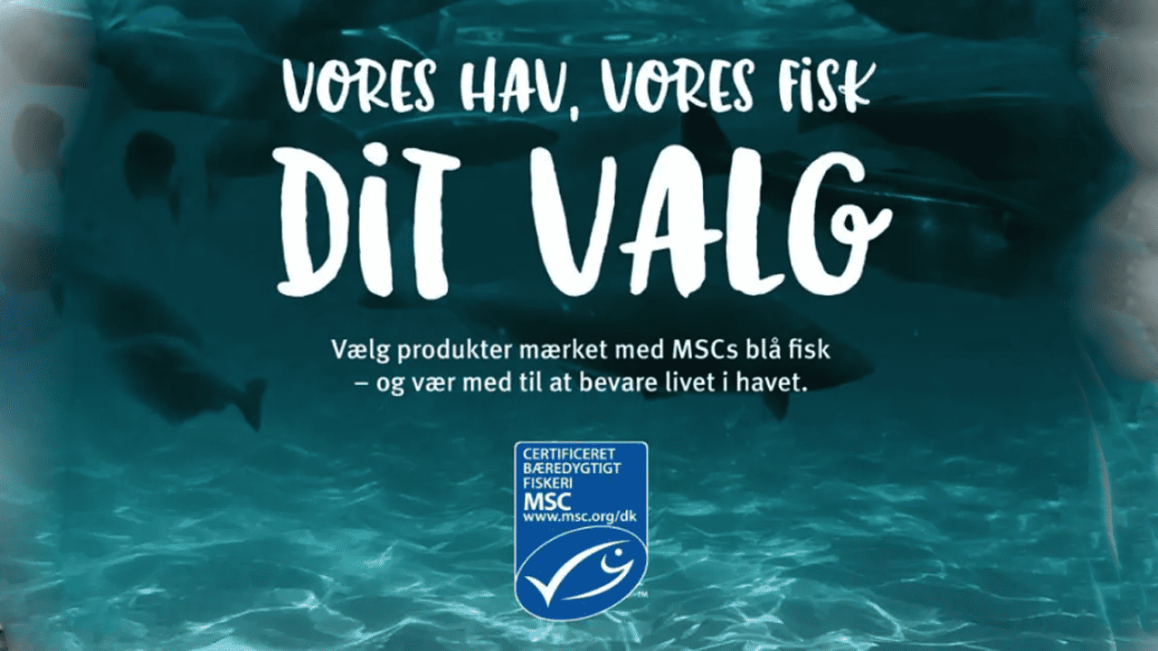 Read more about the article Både Coop og Forbrugerrådet har tillid til miljømærket med »den lille blå MSC fisk«, trods kritik