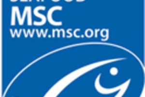 MSC på kuller og tunge trækker ud.   Logo: MSC