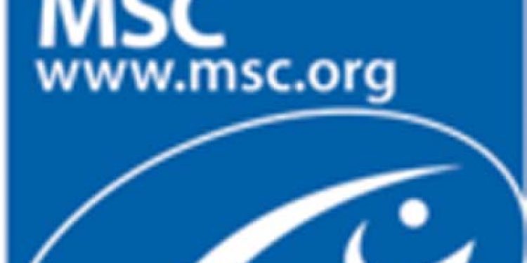 MSC på kuller og tunge trækker ud.   Logo: MSC