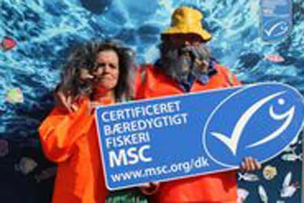 Read more about the article MSC certificerede fiskeprodukter hitter i Danmark