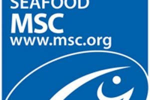 Færøsk MSC sildefiskeri er netop blevet suspenderet.  Foto: MSC Logo