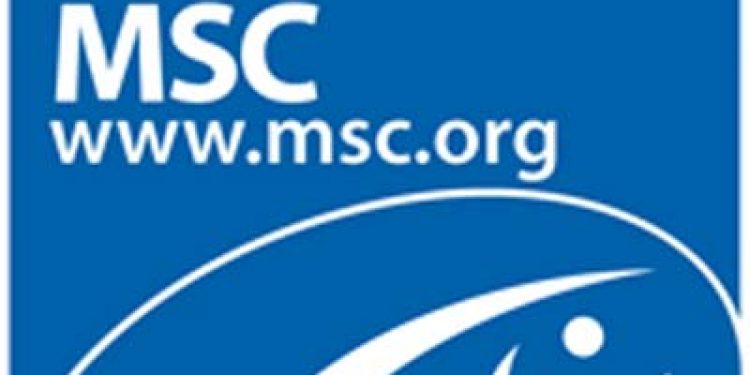 Færøsk MSC sildefiskeri er netop blevet suspenderet.  Foto: MSC Logo