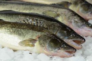 Sandart Madens Folkemøde