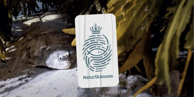 Naturskånsom mærke - fiskeristyrelsen