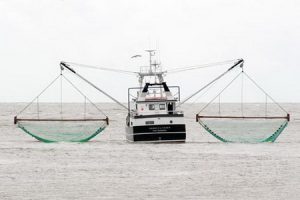 Dårlig økonomi trods godt fiskeri.  Foto: FiskerForum