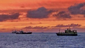Norske trawlere fandt makrel i britisk zone efter ti dages søgning