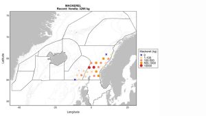 »Vi måler først og fremmest mængden af makrel gennem overfladetrawl, men vi laver også akustiske målinger af sild og blåhvilling, forklarer havforsker Are Salthaug, togtleder ombord på det norske forskningsskib »Vendla«. foto: HI