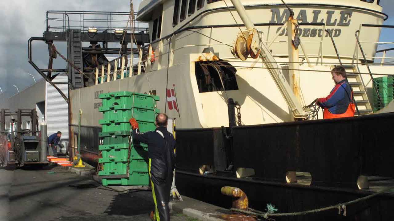 Read more about the article Danske havne viser styrke på DanFish International 2025