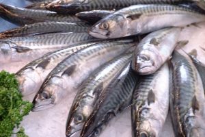 Storbritannien har været særligt begunstiget af EU’s fiskeripolitik