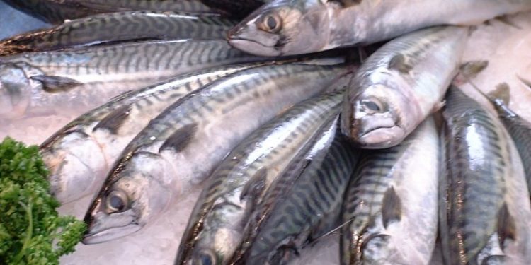Storbritannien har været særligt begunstiget af EU’s fiskeripolitik