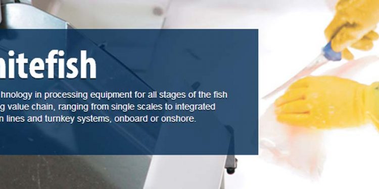 Filetmaskine med røngtenteknologi kan redde norsk fiskeindustri.  Foto: