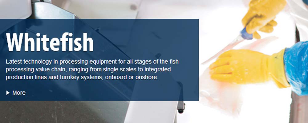 Read more about the article Filetmaskine med røngtenteknologi kan redde norsk fiskeindustri