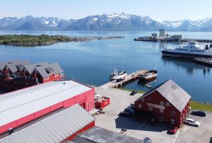Nu skal fiskeindustrien top-automatiseres med nyt dansk-norsk partnerskab
