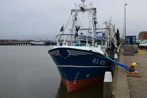 Industrifisken tobis står spredt. Foto: RI 426 Mette Janni Hvide Sande - FiskerForum