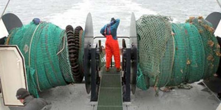 Fiskeriets bruttoindtjening 2011. Foto Mette Helene  Fotograf: OK