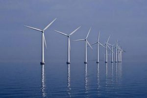 Forskere anbefaler grundige forundersøgelser inden vindmølle-udbygningen til havs