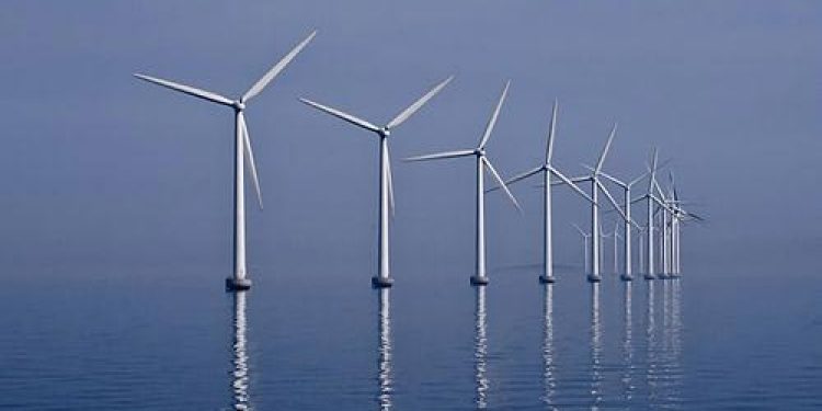 Forskere anbefaler grundige forundersøgelser inden vindmølle-udbygningen til havs