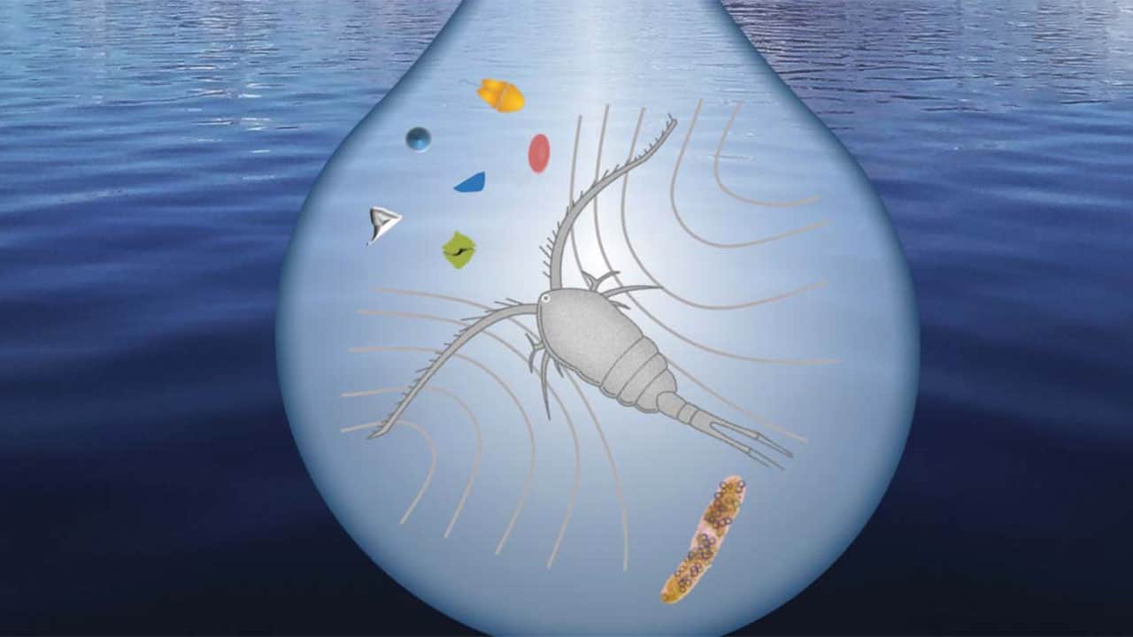 Read more about the article En lille optimistisk nyhed omkring mikroplast i verdens-havene