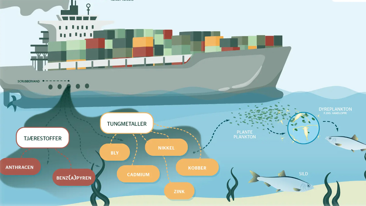 Read more about the article Nye tal viser markant udledning af farlige stoffer fra skibe