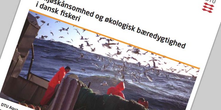 Dansk Fiskeris Miljøpåvirkning.  Foto: DTU Aqua-rapporten - Miljøskånsomhed og økologisk bæredygtighed i dansk fiskeri - DTU
