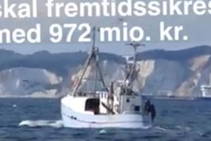 En lille milliard kroner skal fremtidssikre dansk fiskeri