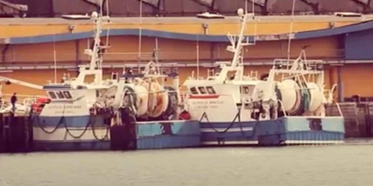 MSC’s undervisningsmateriale er gratis og frit tilgængeligt og er allerede blevet anerkendt og prisbelønnet for sin pædagogiske tilgang. foto: msc