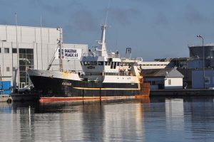 Nye kompetenceudviklingskurser til Fiskeindustrien i Nordjylland  Foto: FiskerForum