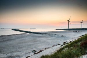 Ledige akademikere hjælper Hvide Sande Havn med Co2-udledningen. foto: Hvide Sande Havneindkøb