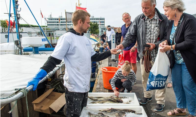 Read more about the article Totalt udsolgt da Helsingør Havn »gik helt i fisk«