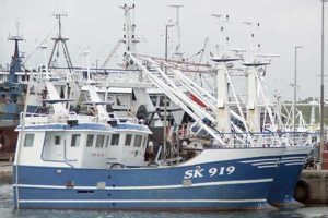 Styrelse nægter fiskerne aktindsigt i muslingesagen.  foto: RCVemdrup