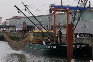 Tysk muslingebåd »ANNA« losser baby muslinger på Esbjerg Havn