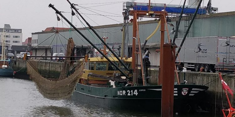 Tysk muslingebåd »ANNA« losser baby muslinger på Esbjerg Havn