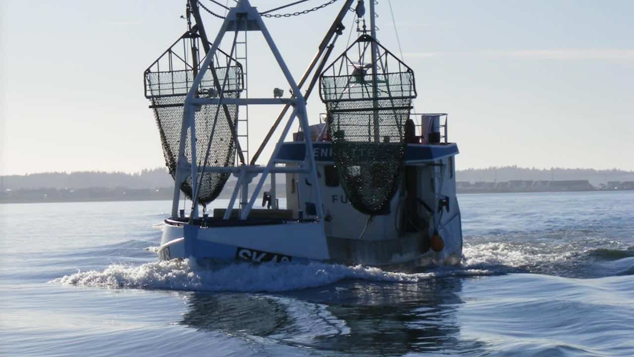 Read more about the article Høringsforslag gør op med historisk forbud mod muslingefiskeri i Limfjorden om søndagen