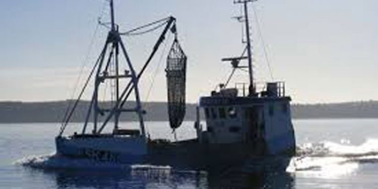 Stort fald i muslingekvoterne i 2017  Arkivfoto: Muslingefiskeri i Limfjorden - FiskerForum.dk