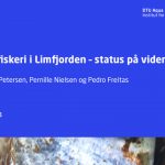 Ny redegørelse frikender fiskerne i Limfjorden Foto: DTU