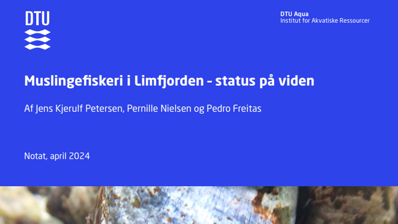 Read more about the article Ny redegørelse frikender fiskerne i Limfjorden