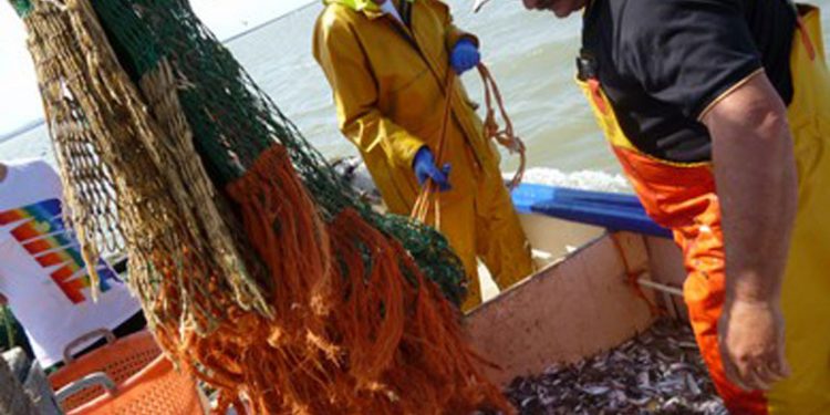 Britiske fiskeriorganisationer bifalder UK´s første skridt væk fra EU`s fiskeripolitik