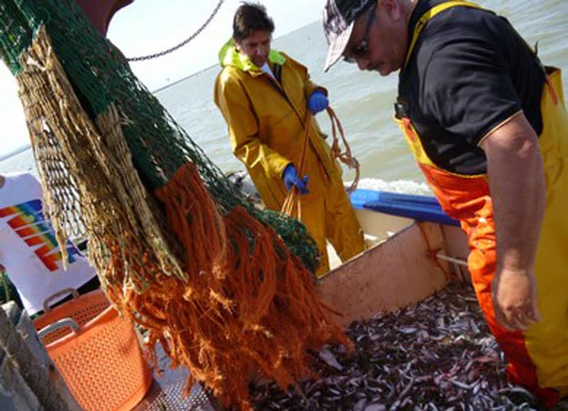 Read more about the article Britiske fiskeriorganisationer bifalder UK´s første skridt væk fra EU`s fiskeripolitik