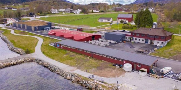 En lille elv i Norge gemmer på en stor viden og mange data, omkring Europas mest truede fiskearter og de peger på en dyster fremtid for både laks og ål. Danmark og Norge er under kraftigt pres for at redde Nordatlantens truede fiskearter. foto: Anders H. Bergesen - NINA