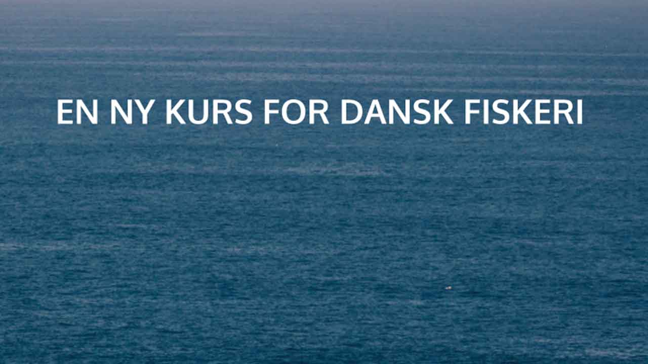 Read more about the article Læs om SVM-Regeringens udspil om fremtidens fiskeri