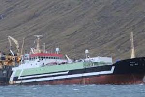 Færøerne: Industrifiskeriet af blåhvilling fortsætter de gode takter