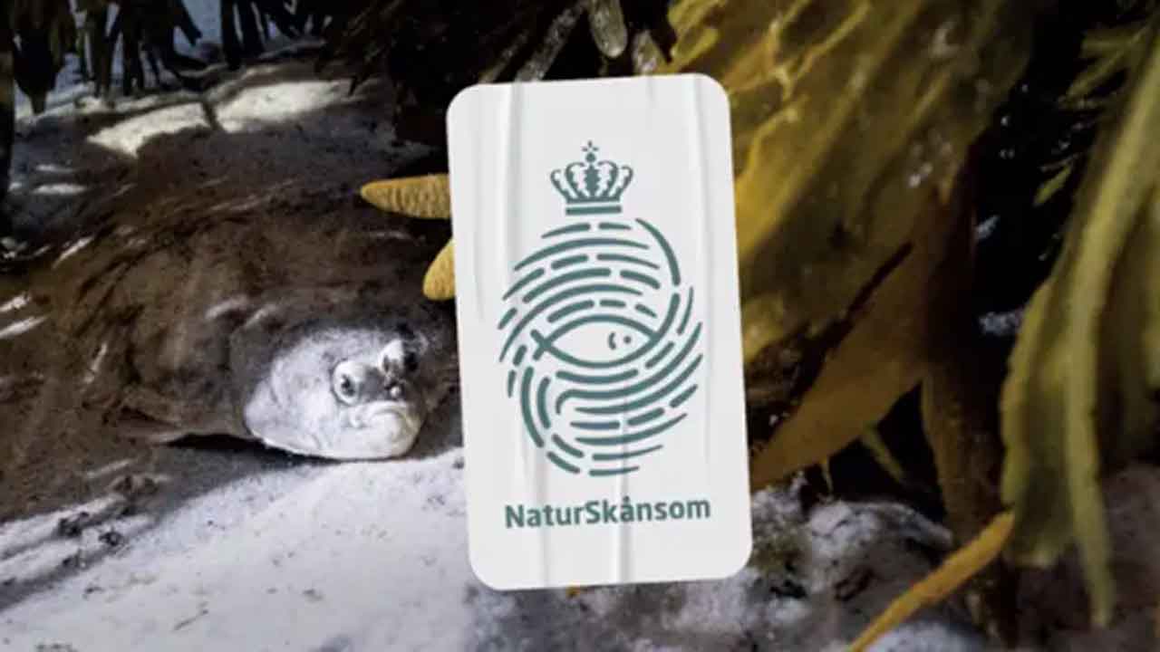 Read more about the article Et-dags kursus opfylder kursuskrav til mærkningsordningen NaturSkånsom