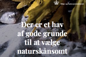 Venstrefløjen har med fiske-mærket »Naturskånsom« kostet over 20 mio. kroner plus fondsstøtte. foto: fvm.dk