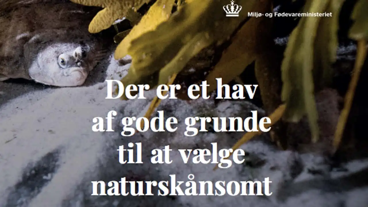Read more about the article Venstrefløjen har med fiske-mærket »Naturskånsom« kostet over 20 mio. kroner plus fondsstøtte