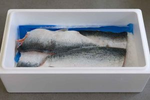 Norske chauffører og vognmænd risikerer store bøder, hvis der drypper smeltevand fra lastbiler, der transporterer fisk. Men det behøver slet ikke være sådan. Der findes løsninger. snapshot - fiskerForum.dk