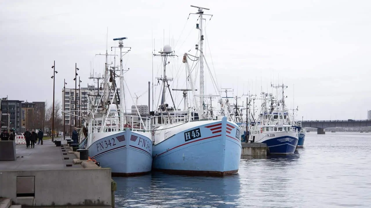 Read more about the article Lokal politisk opbakning mod kameraovervågning af fiskerne
