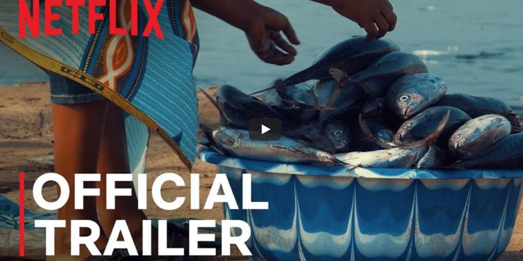 Netflix-dokumentaren Seaspeiracy er »Mindfuck movies« og direkte vildledende