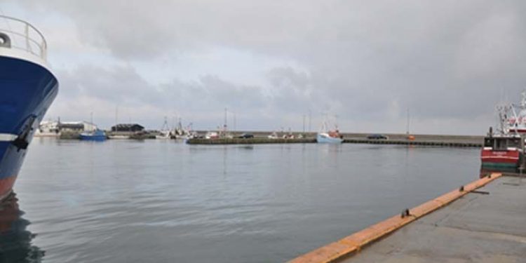 Fiskeripolitisk selvmål?  foto: Nexø Havn  Fotograf :  Jeppe Høst