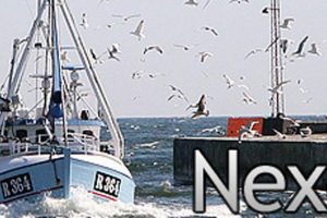 Nexø Havn øger trods alle odds