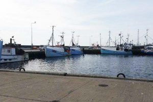 Bornholmske torskepriser rammer bunden  Foto: ca. godt 20 fiskefartøjer valgte tisdag at blive ved kajen pga. dårlige afregningspriser - CSH